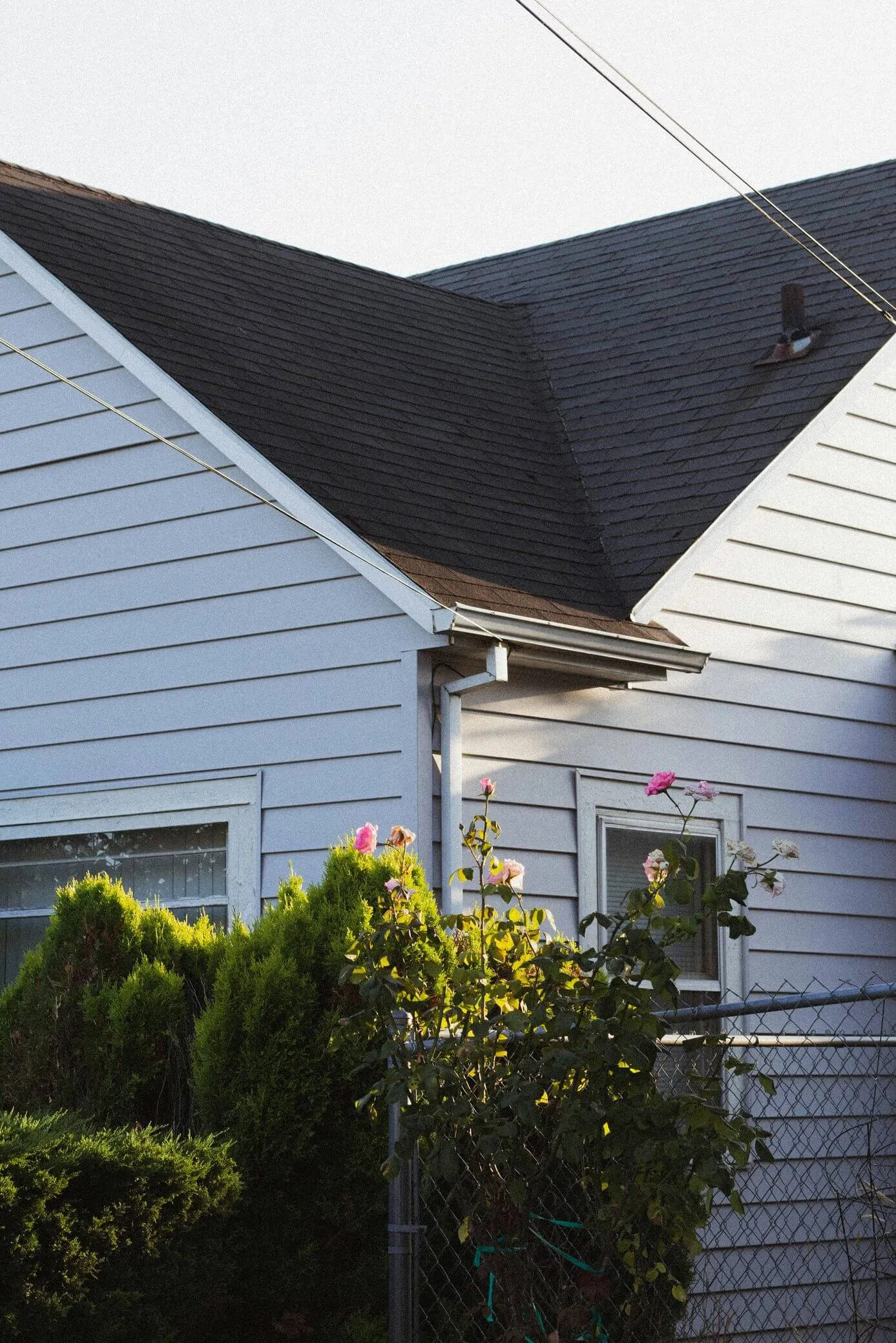 Residential home with a shingle roof and front yard